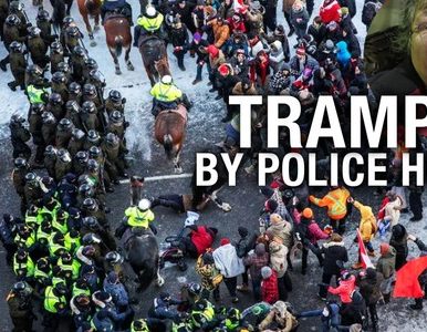 ARTICLE AND VIDEO : INTERVIEW: Aboriginal peaceful protester trampled by Toronto police horse unit in Ottawa