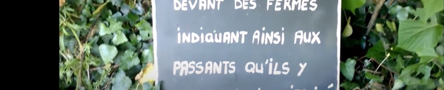 Vivre avec la vie : la vie simple et naturelle de Solo Frey