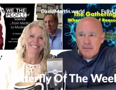 The “Trans” Atlantic Show David Martin World