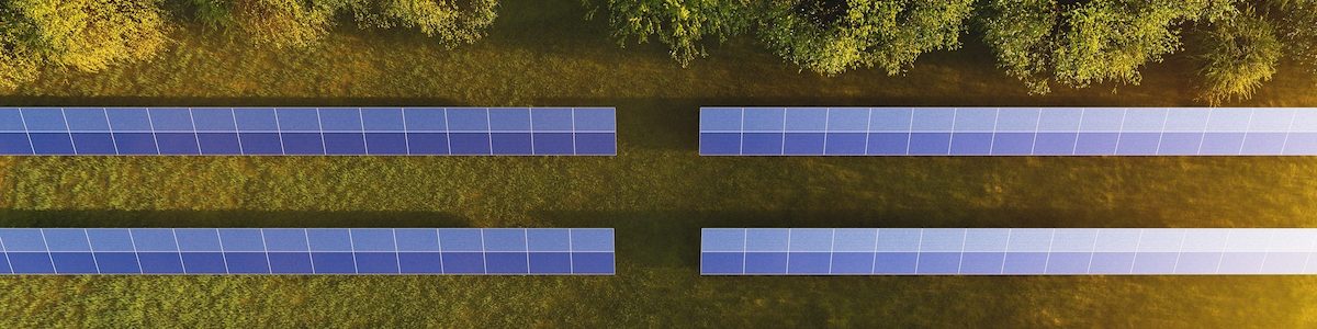 Panneaux solaires : Arrêtons de raser les forêts !