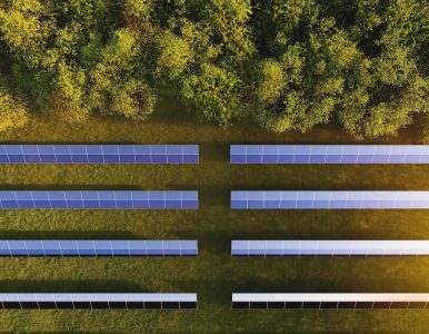 Panneaux solaires : Arrêtons de raser les forêts !