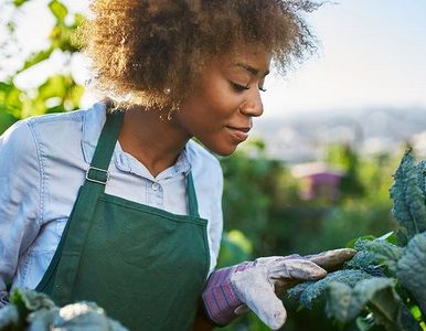 EWG’S 2023 DIRTY DOZEN, CLEAN FIFTEEN LISTS