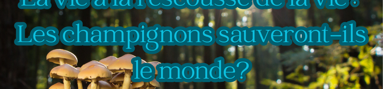 La vie à la rescousse de la vie : la haute biotechnologie des champignons