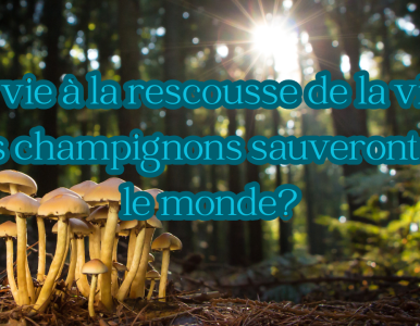 La vie à la rescousse de la vie : la haute biotechnologie des champignons