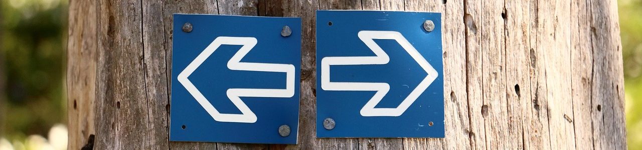 La droite, la gauche et les dogmes : Les origines de la division