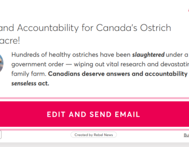 Demand Accountability for Canada’s Ostrich Massacre