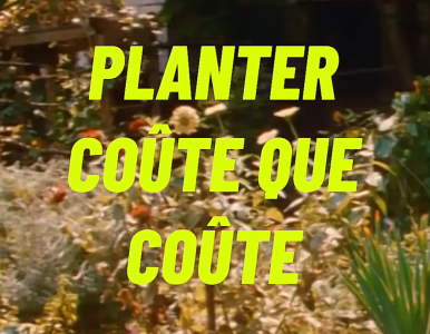Végétaliser la ville en toute liberté