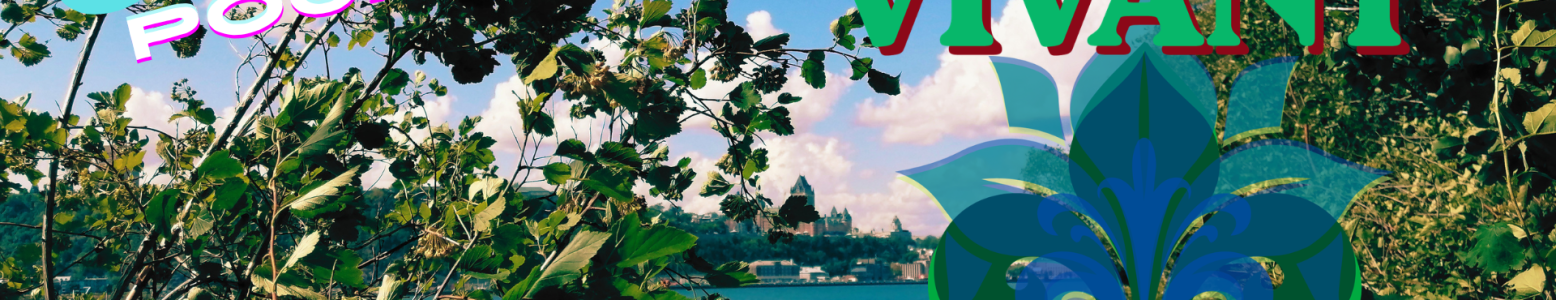 Solutions pour un Québec Vivant!