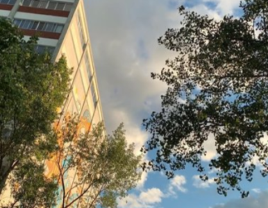 Cultiver les espaces de vie urbaine : l’exemple du Champ des possibles à Montréal